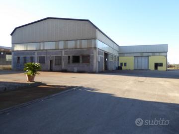 Capannone Ampia Area di Manovra