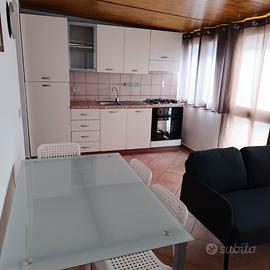 Appartamento bilocale arredato