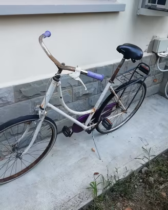 bicicletta bianca e ciclamino 