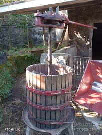 Vendemmia