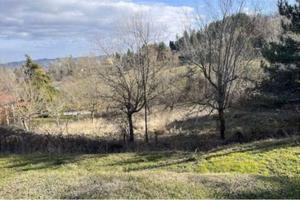 Nuova proposta terreno libero in albinea