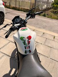 Benelli bn302
