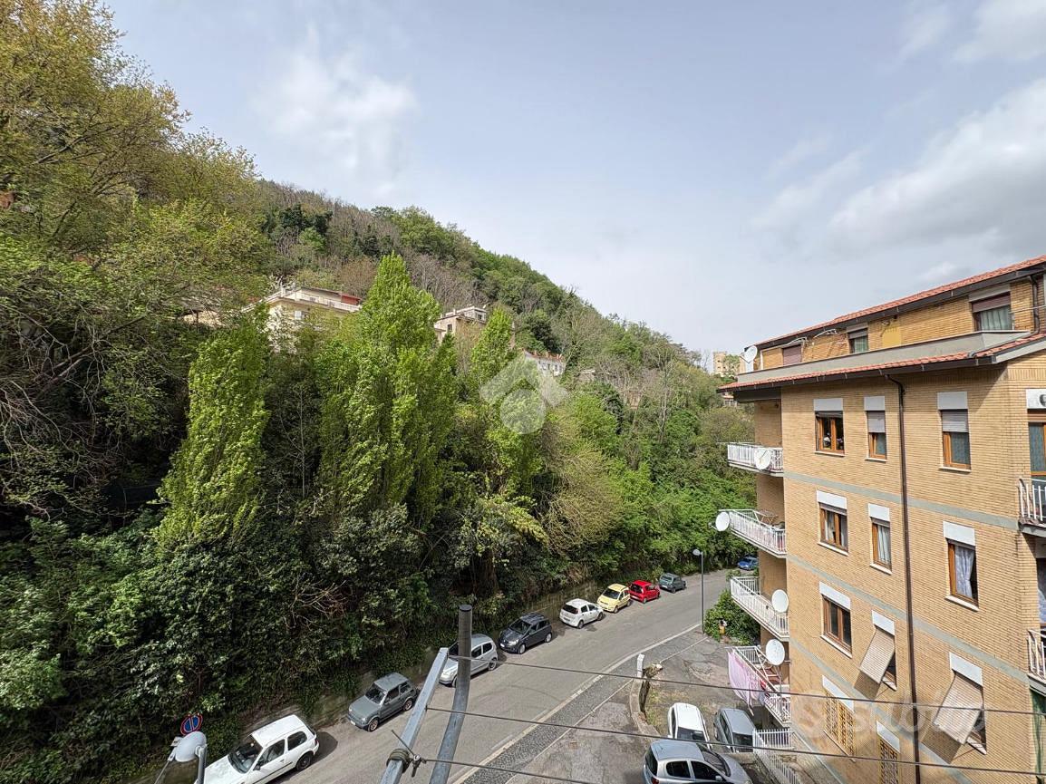 Appartamento – Monte Compatri, Pratarena - Vista 5