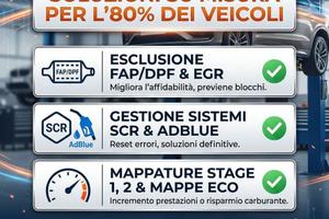 file service centralina fap dpf egr adblue