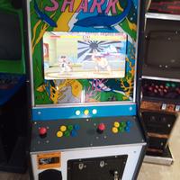 Videogioco arcade