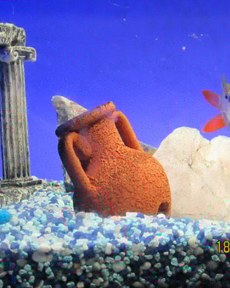 Acquario