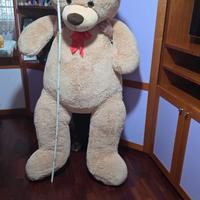 un orsone da regalare