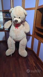 un orsone da regalare