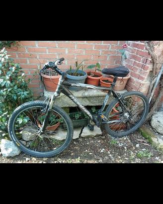 bici buono stato 