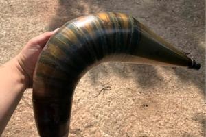 marmitta malossi am6