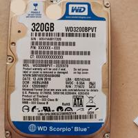 hard disk 320 GB WD