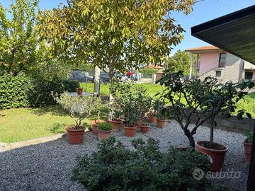 Appartamento di 100 m² con 4 locali a Agliana