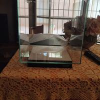 Acquario Newa 30 litri