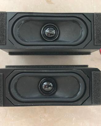 Coppia altoparlanti per LCD TV