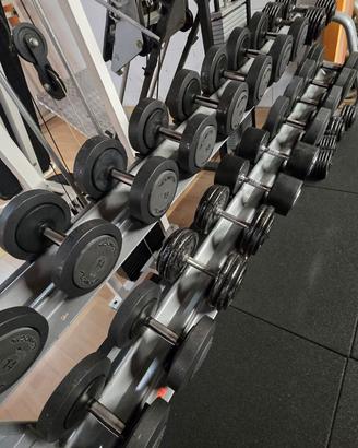 Manubri dischi bilancieri palestra
