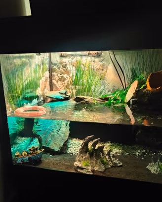  Acquario Wave 