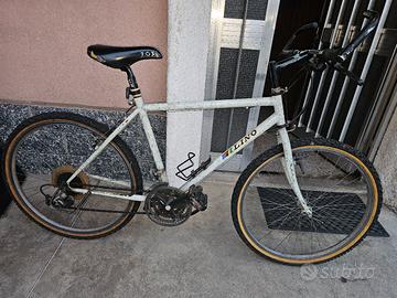 mouintain bike misura 26