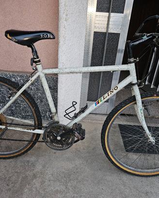 mouintain bike misura 26