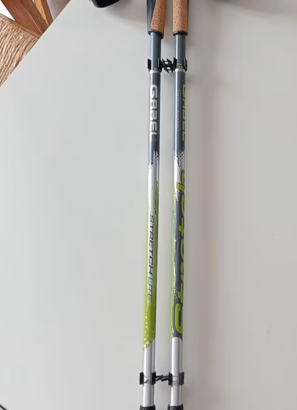 Bastoncini Nordic Walking