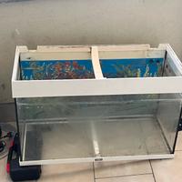 Aquario juwel rio 180lt