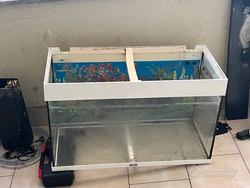 Aquario juwel rio 180lt