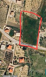 Terreno agricolo vista mare