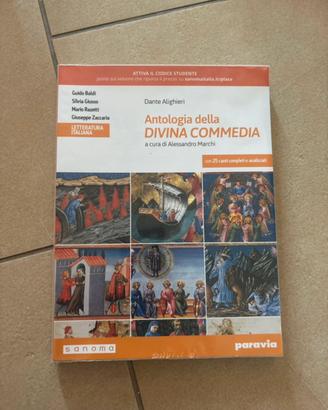 Antologia della divina commedia