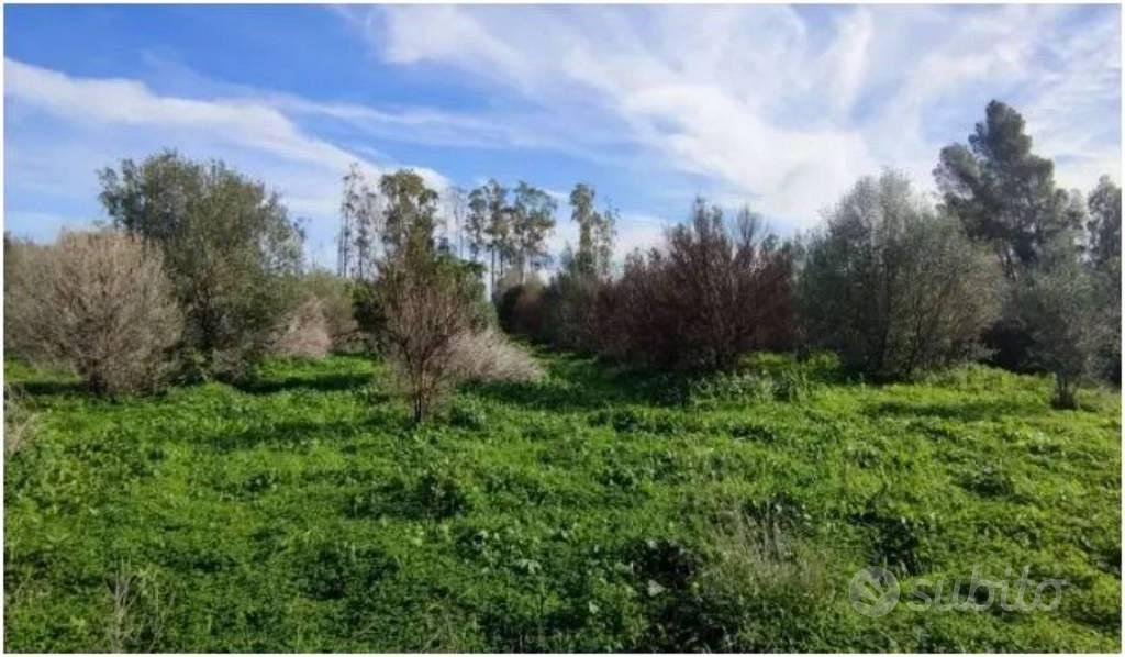 Immobile in asta di 51370 m² a San Vito Romano - Vista 2