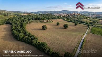 Terreno Agricolo - Canino
