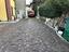 Immagine 7