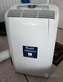 Condizionatore Pinguino De Longhi 10500 btu
