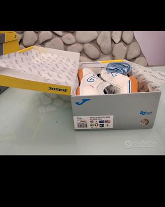 scarpa Joma top flex indoor white-royal (taglia45)