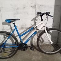 Bicicletta Engine Jupiter