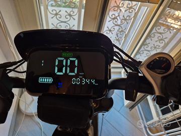 bicicletta elettrica 