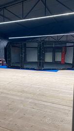 Ring regolamentare  da 6 metri. Gabbia per MMA