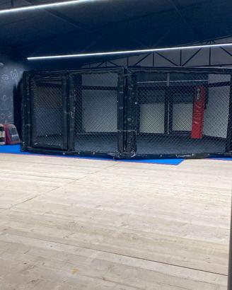 Ring regolamentare  da 6 metri. Gabbia per MMA