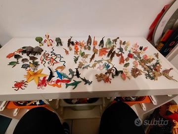 lotto TARTARUGHE SERPENTINI DINOSAURI PESCI 