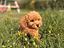 Immagine 10