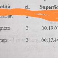 Terreno lequio tanaro