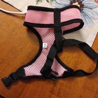 Pettorina per cani di piccola taglia 