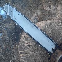 motosega usata da potatura