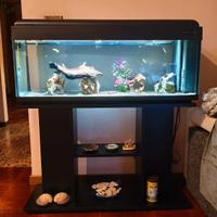 Acquario 100 litri con Mobile 