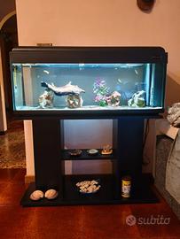 Acquario 100 litri con Mobile 