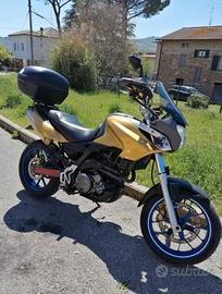 Aprilia Pegaso 650 - 2005