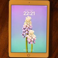 iPad Pro 9,7"