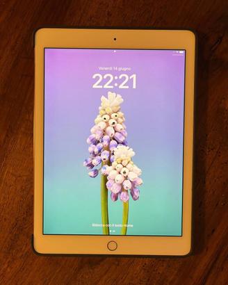 iPad Pro 9,7"