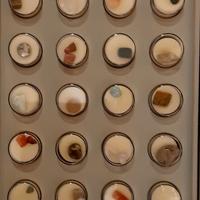 Gemme, Minerali e Pietre da collezione