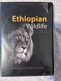 dvd Ethiopian Wildlife