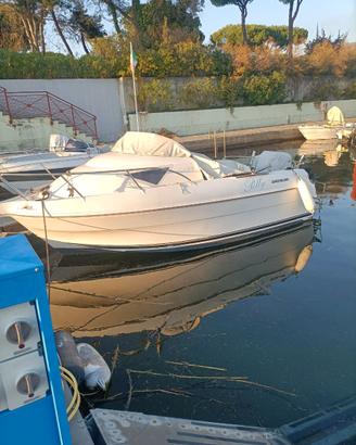 Pilotina Quicksilver 5.50mt
