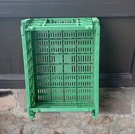 Cassette Richiudibili  Frutta - Portaoggetti 10pz